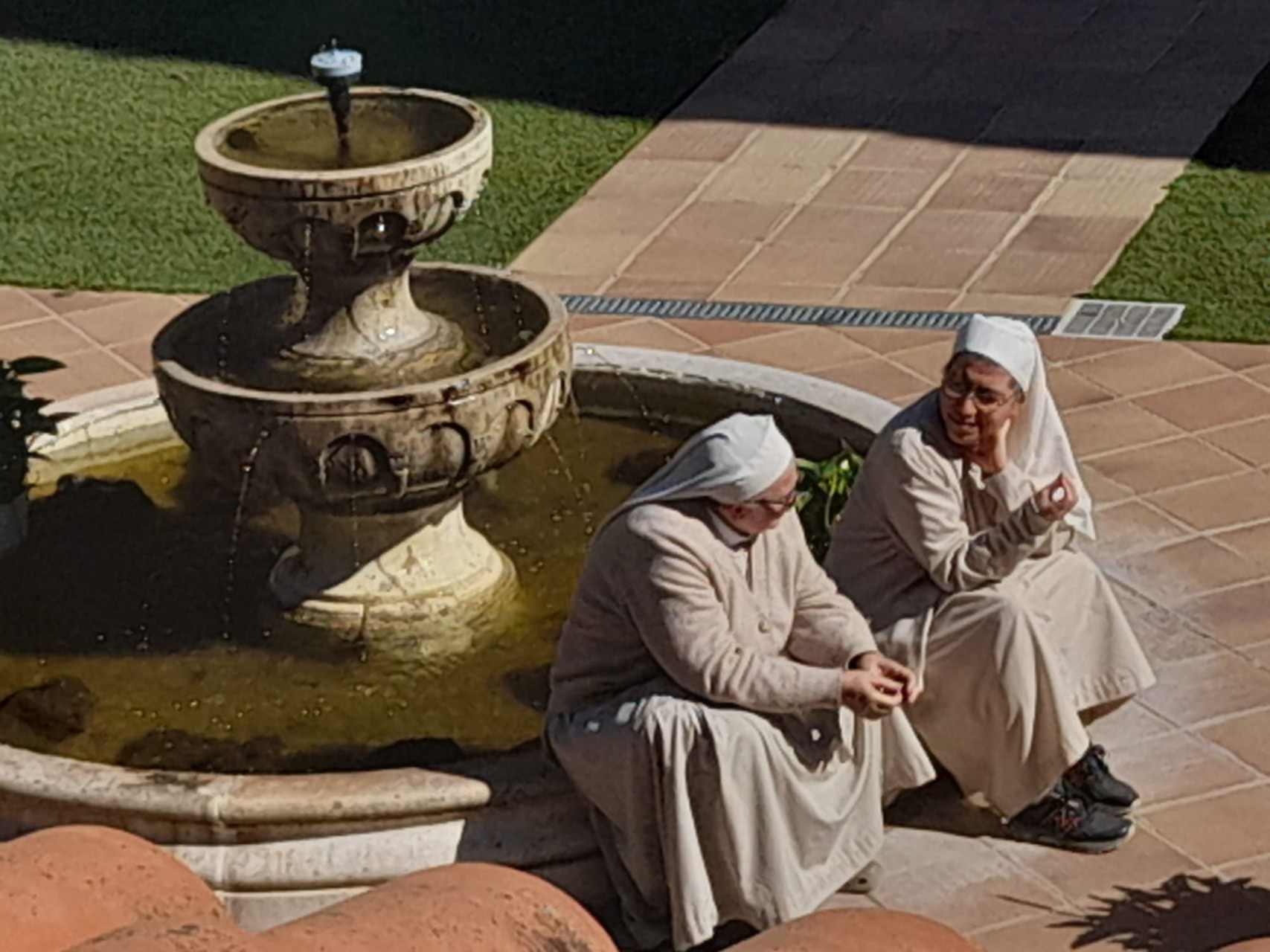 Comunidad 19